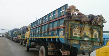 দৌলতদিয়ায় পারের অপেক্ষায় চার শতাধিক ট্রাক