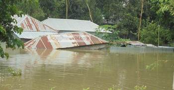 বিপদসীমার উপরে যমুনার পানি : সিরাজগঞ্জে ২৮৫ শিক্ষাপ্রতিষ্ঠান বন্ধ