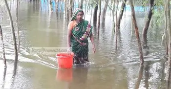 Flood affects over 5 lakh in 20 districts
