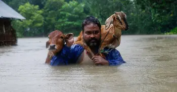 Floods in Bangladesh, India and Nepal - in pictures