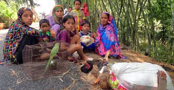 600 flood-affected Indians take shelter in Bangladesh