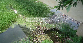 কুমার নদে ফেলা হচ্ছে ক্লিনিকের বর্জ্য : স্বাস্থ্য ঝুঁকিতে মানুষ