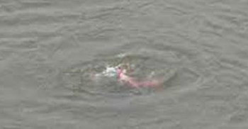 কাপাসিয়ায় পানিতে ডুবে ৩ বোনের মৃত্যু