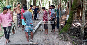 পুলিশের উদ্যোগে সেই শিক্ষিকার বাড়িতে বিদ্যুৎ