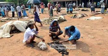 বেশি দামে চামড়া কিনে ব্যবসায়ীরা ধরা