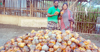 শহীদ স্মরণে লাগানো হবে ৩০ লাখ তাল গাছ