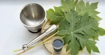 How to use papaya leaves to fight dengue