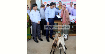 সম্মান নিয়ে বাঁচতে চান তারা