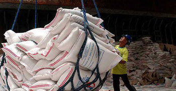 দেড় লাখ টন চাল-গম কিনবে সরকার