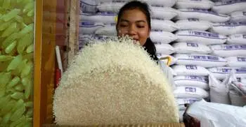 Bangladesh signs deal to buy Cambodia rice