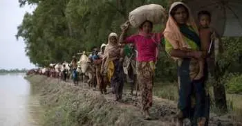 Almost 270,000 Rohingya refugees in Bangladesh: UN