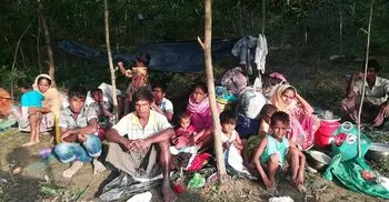 BNP should not do politics over Rohingya issue: Hasan