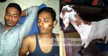 ছাগল চুরি করে ধরা, মামা-ভাগ্নেকে গণপিটুনি