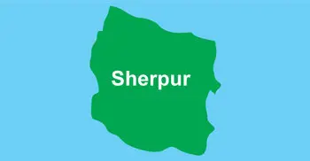 2 killed, 6 hurt in Sherpur road accident
