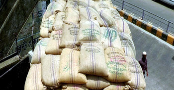 কুষ্টিয়ায় পাচারকালে ৫০০ বস্তা সরকারি চাল জব্দ