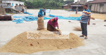 বৃষ্টির পেটে গেল দেড় কোটি টাকার চাল