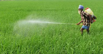 Insecticide responsible for deaths of 13 children in Bangladesh: Study