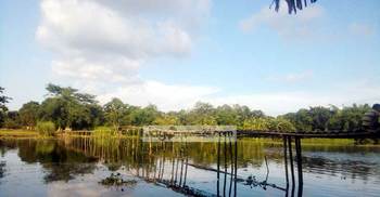 স্বেচ্ছাশ্রমে নির্মাণ হচ্ছে ২৫০ ফুট বাঁশের সাঁকো