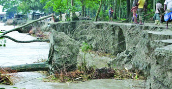 পদ্মার ভাঙনে নদীগর্ভে অর্ধশতাধিক ঘরবাড়ি