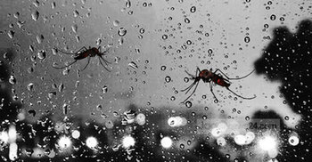 ডেঙ্গু জ্বরে জাজিরায় যুবকের মৃত্যু