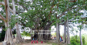 শতবর্ষী বটগাছ পাহাড়ের আরেক সম্ভাবনাময় পর্যটন কেন্দ্র