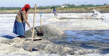 ৫ লাখ টন লবণ আমদানি করবে সরকার