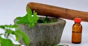 5 herbs you need if you have high blood pressure