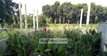 নবগঙ্গা বাঁচাতে পয়ঃবর্জ্য শোধনাগার