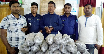 আপেলের কার্টনে গাঁজা