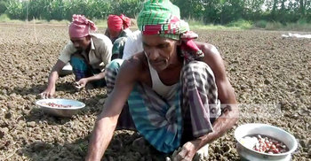 শূন্যই থেকে যাচ্ছে কৃষকের হাত