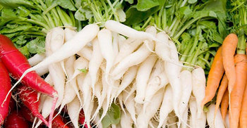 বগুড়ায় মুলার কেজি ৭০ টাকা