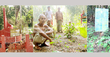 রাজাপুর হানাদার মুক্ত দিবস আজ