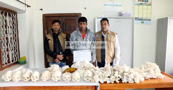 এক যুবকের কাছে ৯ জনের মাথার খুলি