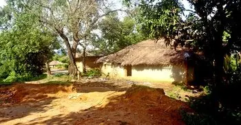 Red Cross says life has stopped in Myanmar’s Rakhine