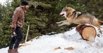 নেকড়ের সঙ্গে সালমান খানের লড়াই!