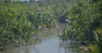 সুন্দরবনে তিন দিনে ৩৮ জেলে অপহৃত