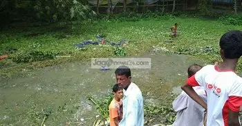 7 killed as bus plunges into ditch in Comilla