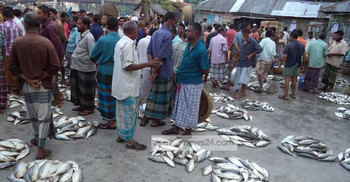 ইলিশ ধরায় সিরাজগঞ্জে ৭ জেলের জরিমানা