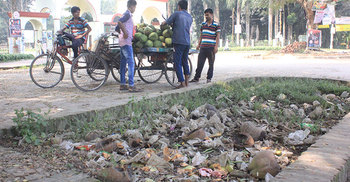 বর্জ্য ব্যবস্থাপনা নেই ইবিতে