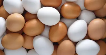 Egg at Tk 3 marking World Egg Day tomorrow