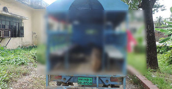 ছেলের লাঠির আঘাতে মায়ের মৃত্যু