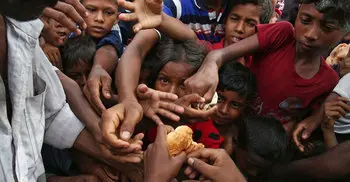 Unicef appeals for $76.1m for Rohingya children