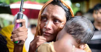 Myanmar army killed hundreds of Rohingya: Amnesty