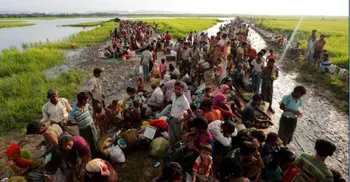 U.N. urges Bangladesh to move Rohingya refugees stranded at border