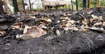 Myanmar gives green light to resume food aid to Rakhine