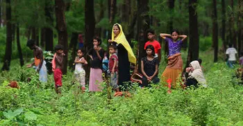 India using chilli sprays, stun grenades to dissuade Rohingya influx