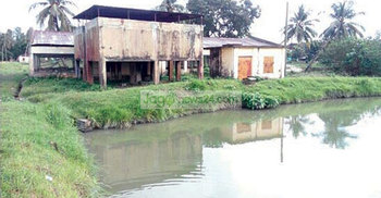 সমস্যায় জর্জরিত উল্লাপাড়া সরকারি মৎস্য হ্যাচারি