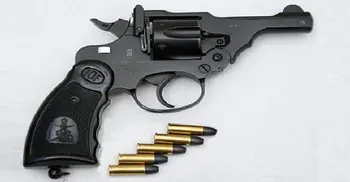 Govt bans carrying of firearms during polls: Kamal