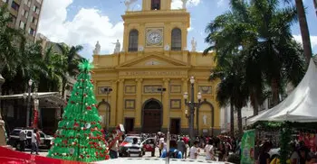 Brazil shooting: 5 killed as gunman opens fire in cathedral