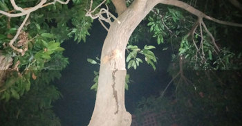 গাংনীতে বিএনপি নেতার বাসায় গুলি, ককটেল নিক্ষেপ